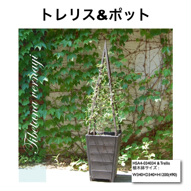 クレマチス・トレリス付き植木鉢 | SITEC GARDEN